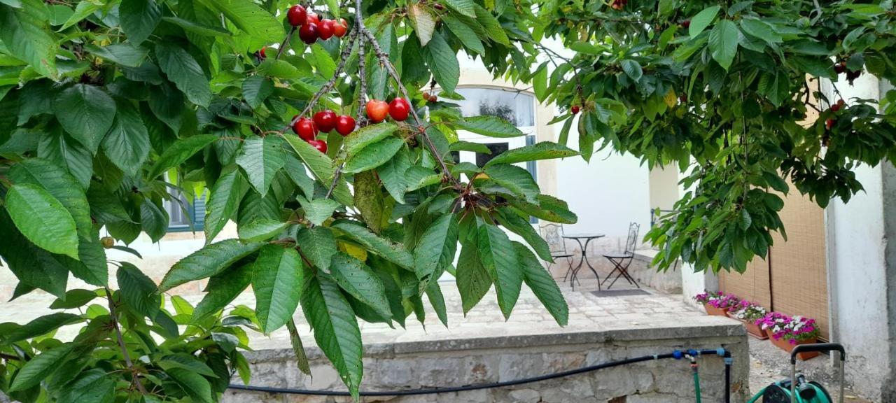 Locazione Turistica San Giorgio Apartment Putignano Bagian luar foto